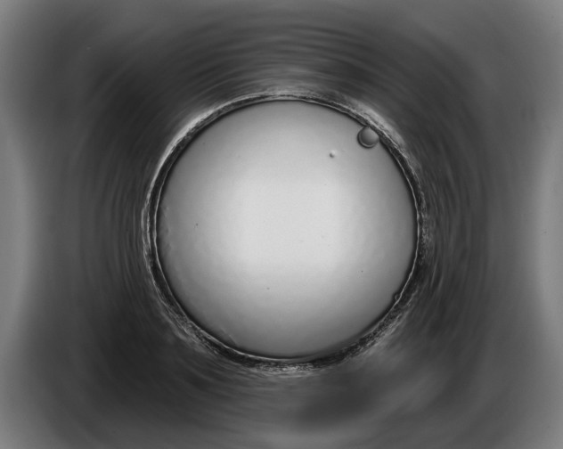 X0000086250891200704191840