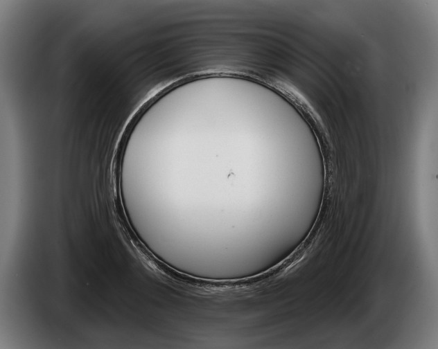 X0000086250892200704191840