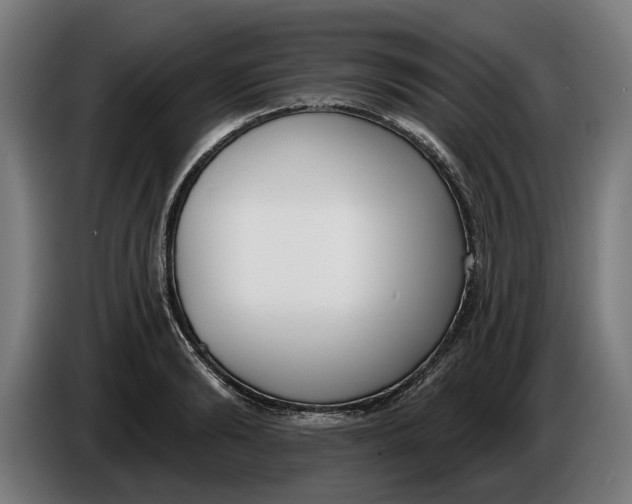 X0000086250894200704191840