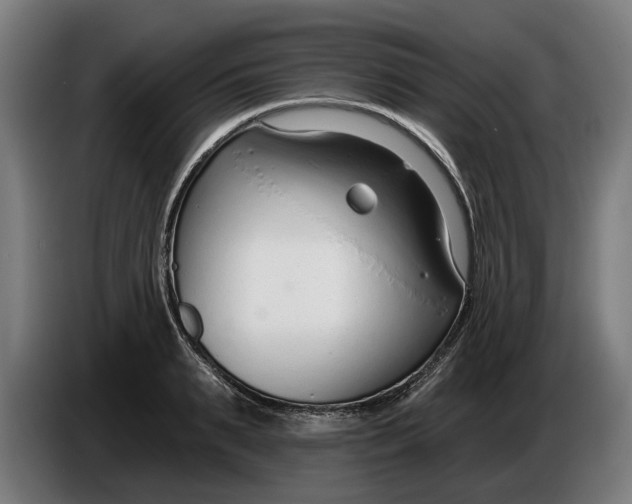 X0000086250895200704191840