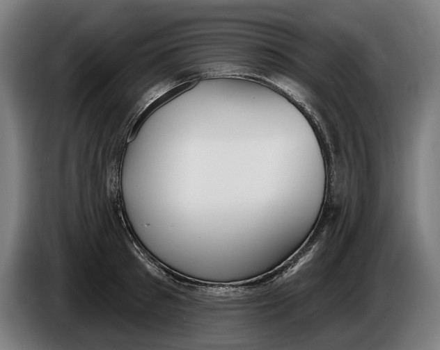X0000086250897200704191840