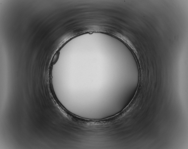 X0000086250898200704191840