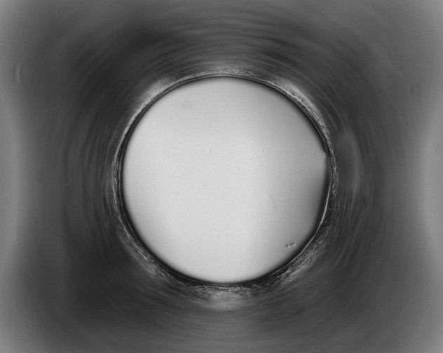 X0000086250899200704191840