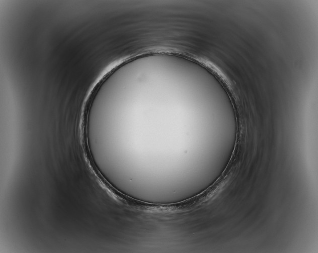 X0000086250902200704191840