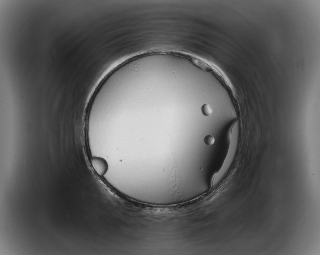 X0000086250903200704191840