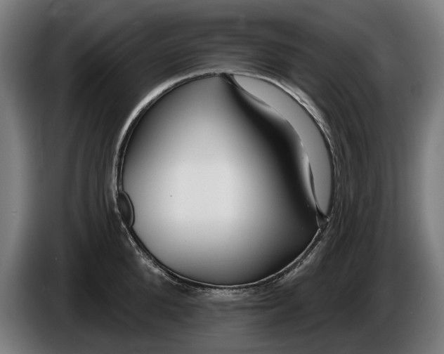 X0000086250904200704191840