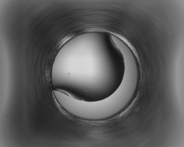 X0000086250905200704191840