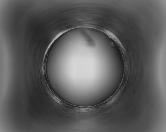 X0000086250908200704191840