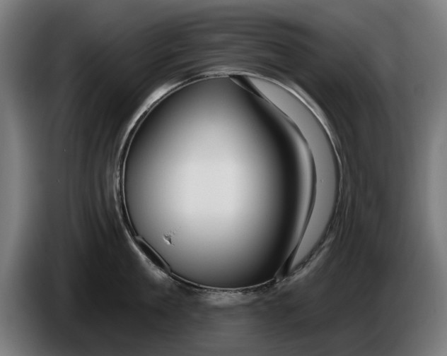 X0000086250909200704191840