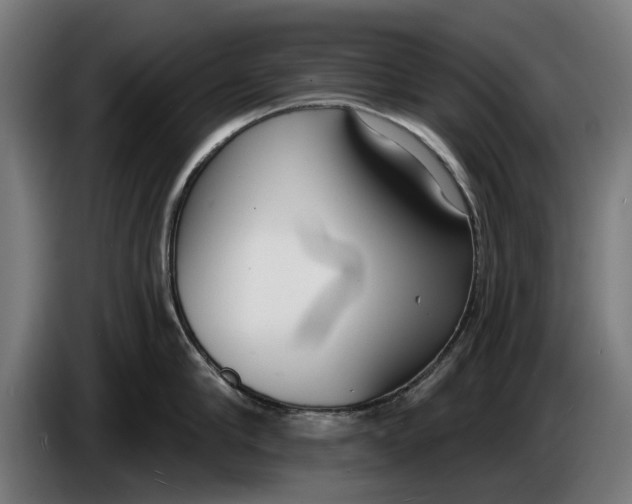 X0000086250910200704191840