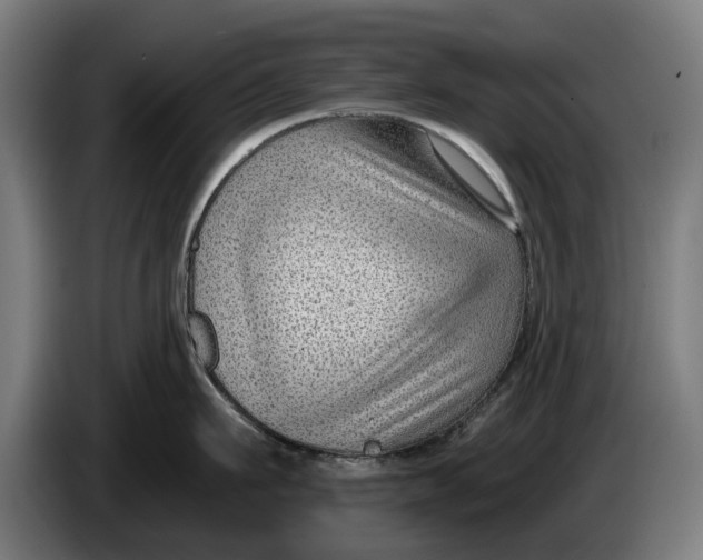 X0000086250911200704191840