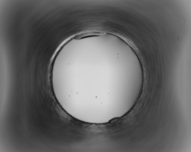 X0000086250912200704191840