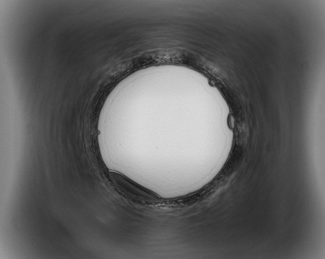 X0000086250913200704191839