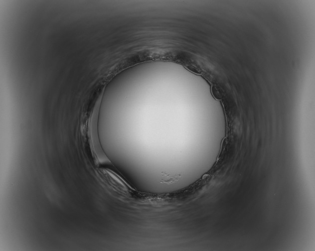 X0000086250914200704191839