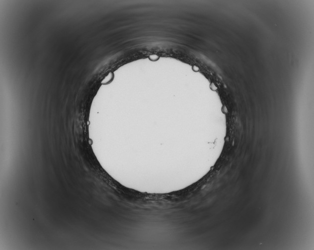 X0000086250918200704191839