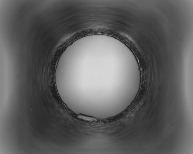 X0000086250919200704191839