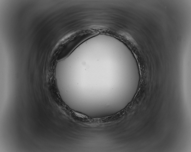 X0000086250920200704191839