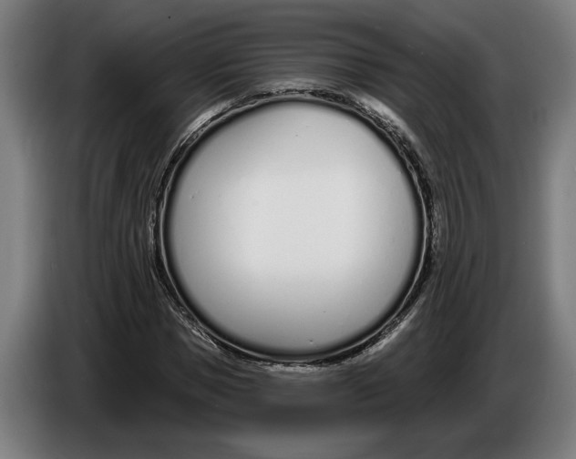 X0000086250921200704191839