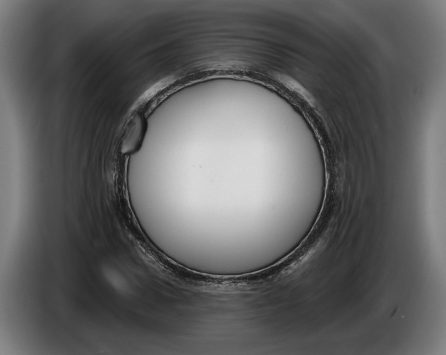 X0000086250922200704191839