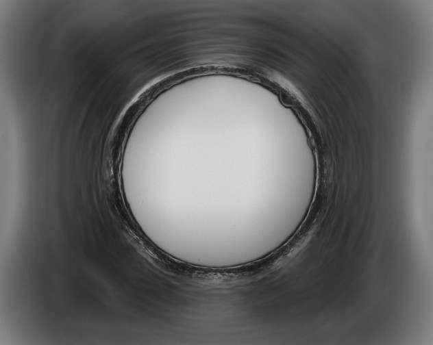 X0000086250923200704191839