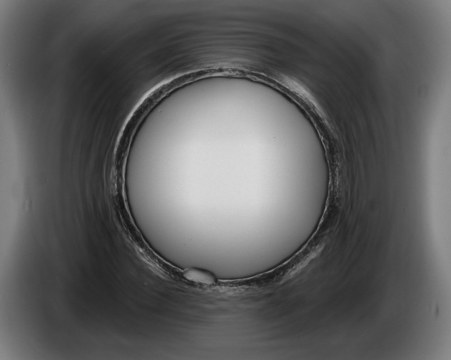 X0000086250924200704191839