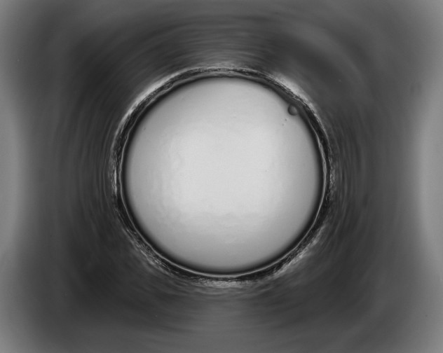X0000086250925200704191839