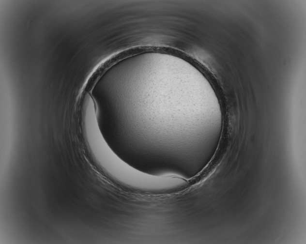 X0000086250926200704191839