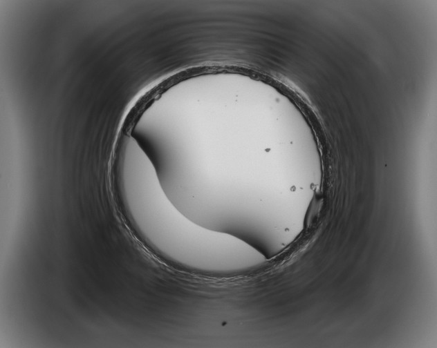X0000086250928200704191839