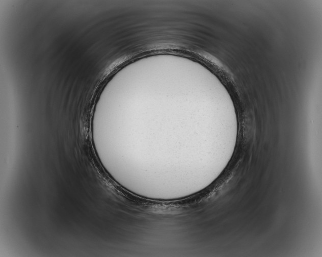 X0000086250929200704191839