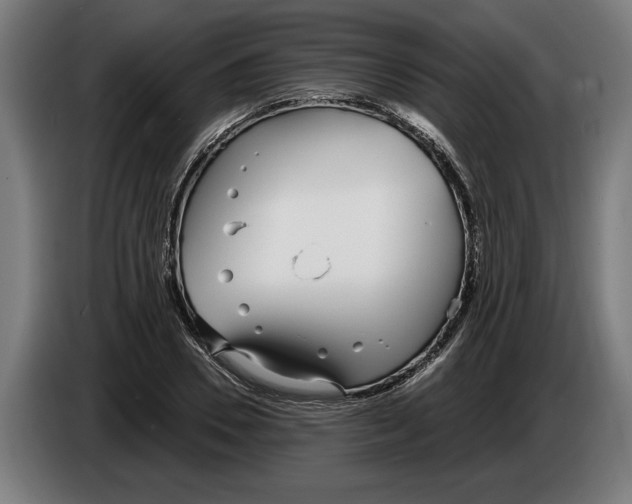X0000086250930200704191839