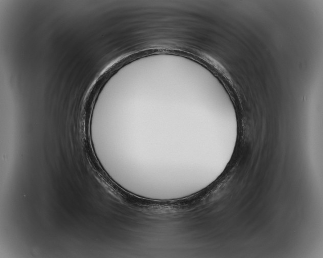X0000086250931200704191839