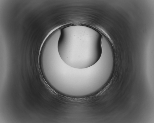 X0000086250932200704191839