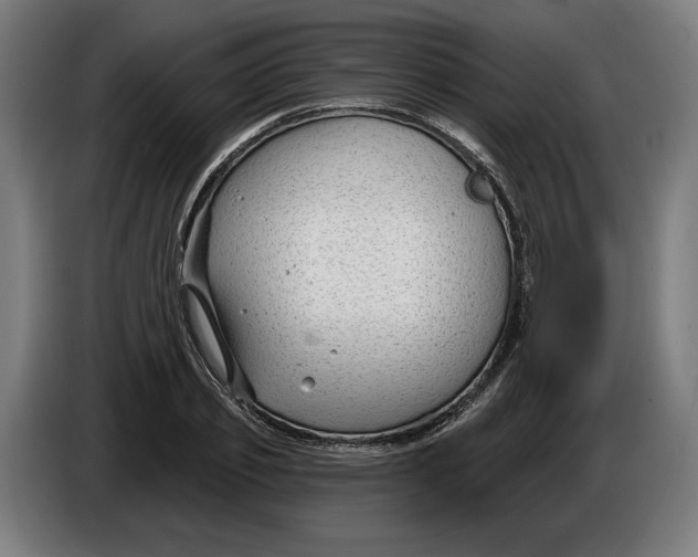X0000086250933200704191839