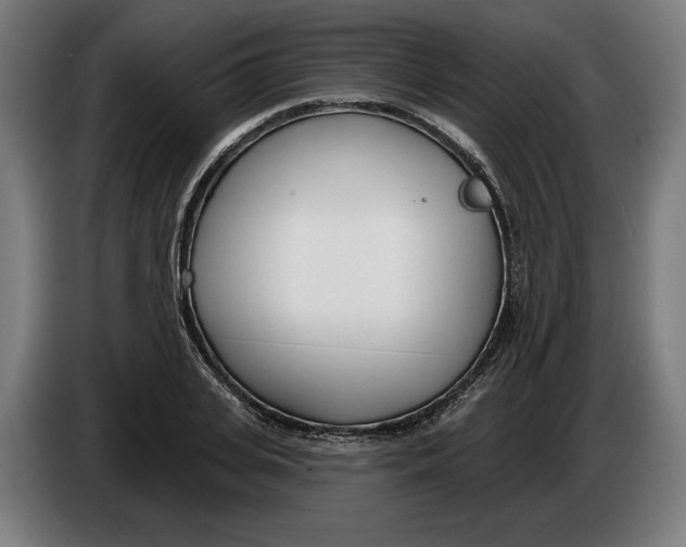 X0000086250935200704191839