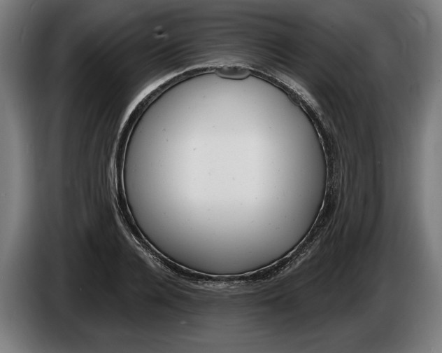 X0000086250936200704191839