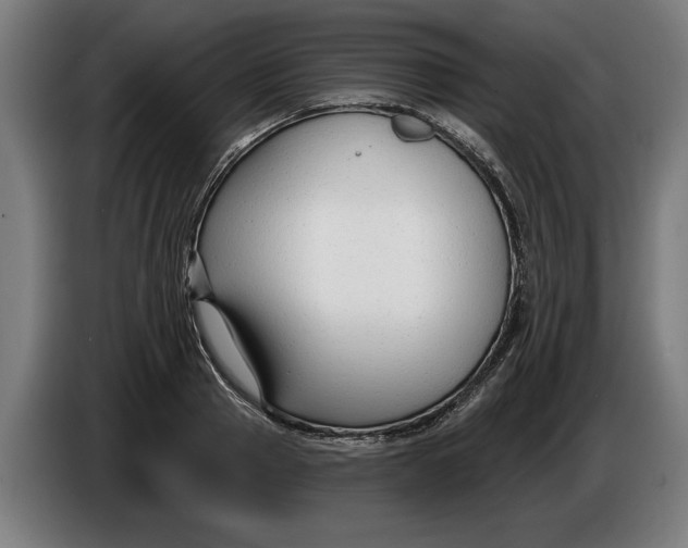 X0000086250937200704191839