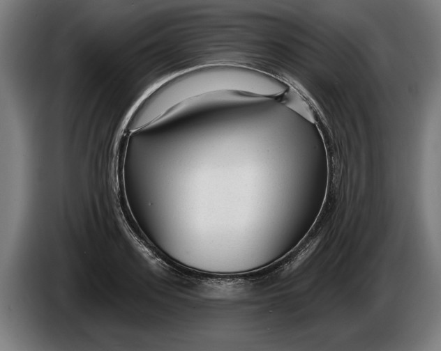 X0000086250939200704191839