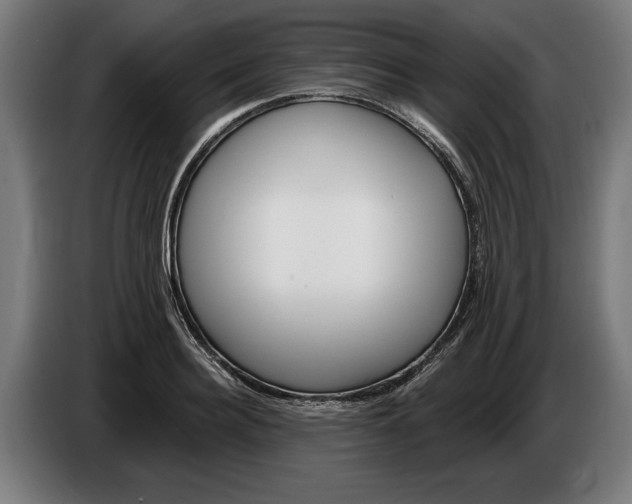 X0000086250940200704191839