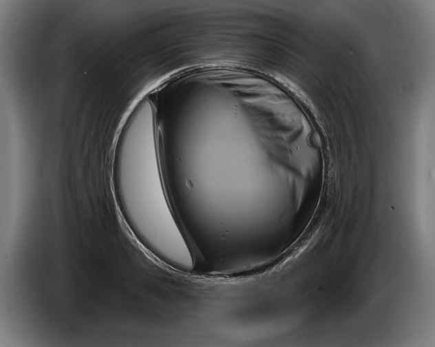 X0000086250941200704191839