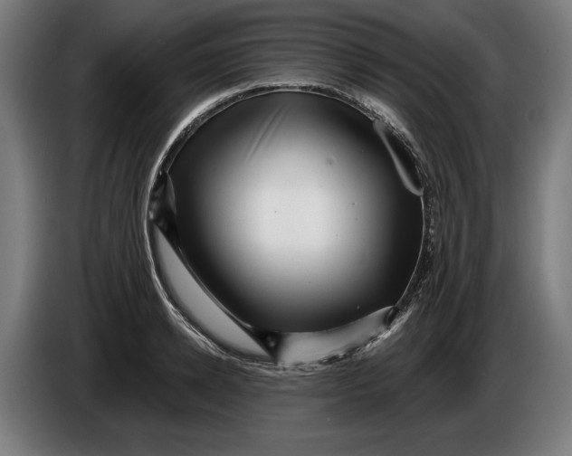 X0000086250942200704191839