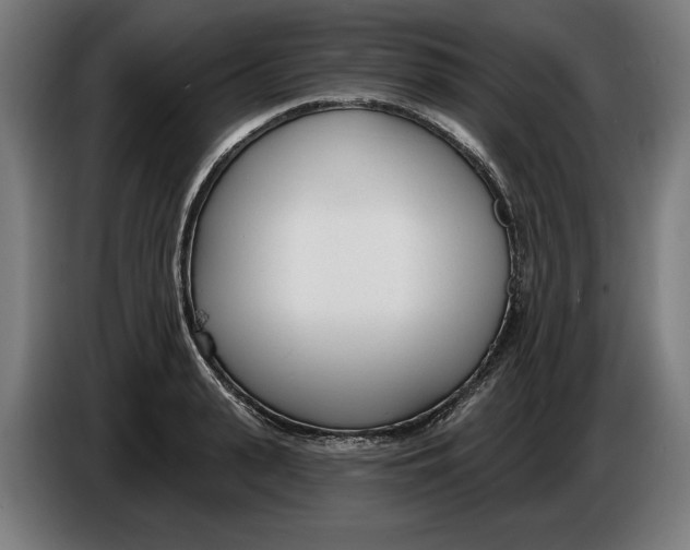 X0000086250943200704191839