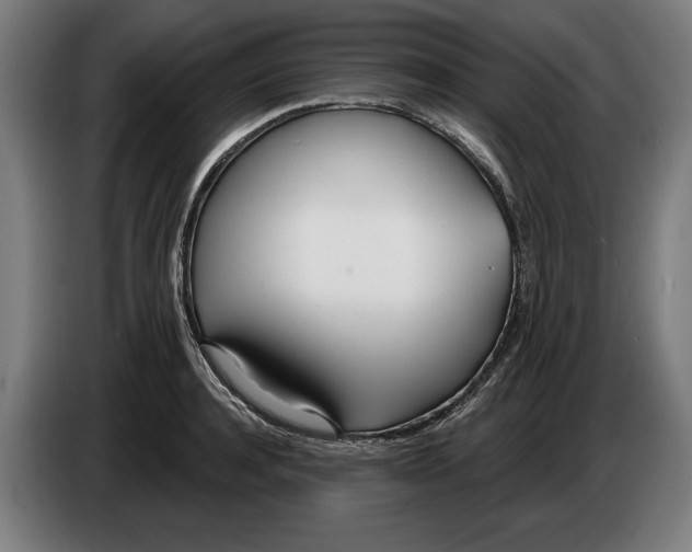 X0000086250944200704191839