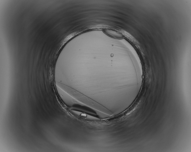 X0000086250945200704191839