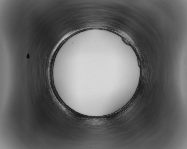X0000086250947200704191839