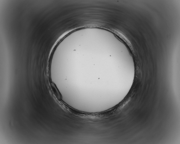X0000086250948200704191839
