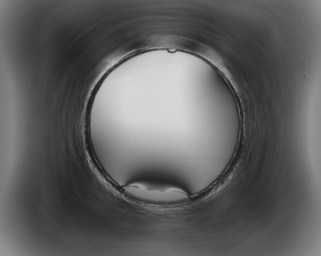 X0000086250949200704191840