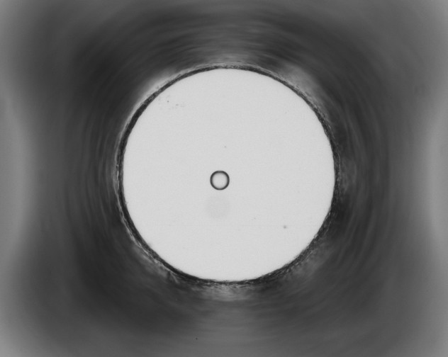 X0000086250950200704191840