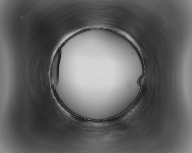 X0000086250951200704191840