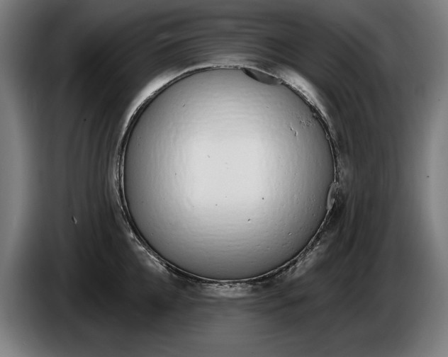 X0000086250952200704191840