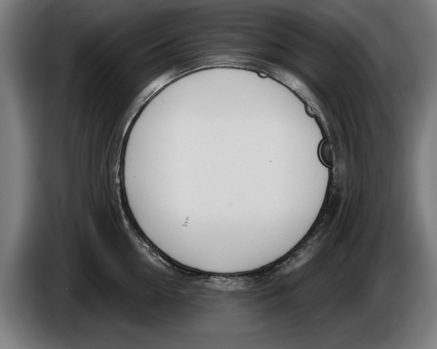 X0000086250954200704191840